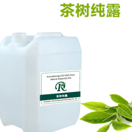 天然茶树纯露 平抚油肌平衡油脂收缩毛孔 纯露花水精油批发厂家图2