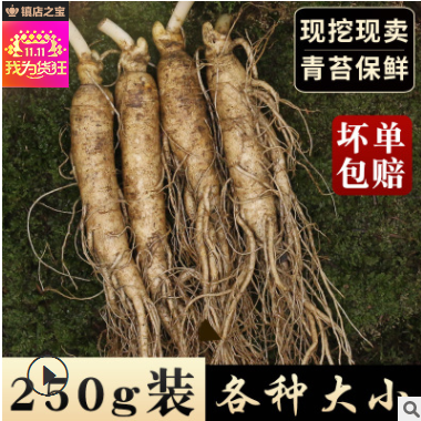 泓品堂 长白山新鲜人参250g 多种规格带土鲜人参 吉林生晒白人参图3