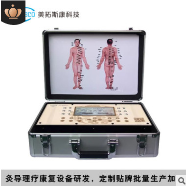 经络疏通仪触控版经络灸导仪康复理疗电脉冲养生仪厂家可定制贴牌图2