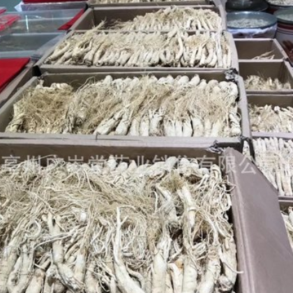 白参 生晒参 吉林长白山人参整枝带须 白皮参 产地货源 一件代发图2