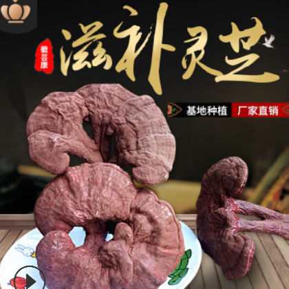 2017仿野生灵芝片批发椴木赤芝中药材散装养生茶灵芝草神芝草瑞草图1