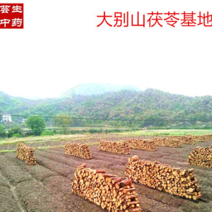 大别山鲜茯苓块岳西茯苓片无硫磺熟茯苓丁菌类中药材低温烘培茯苓图3