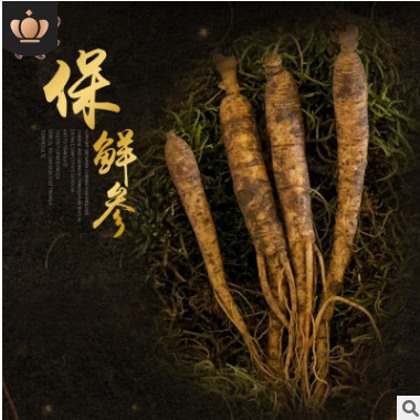 吉林长白山带土鲜人参 泡酒煲汤带土鲜人参抚松人参产地批发图1
