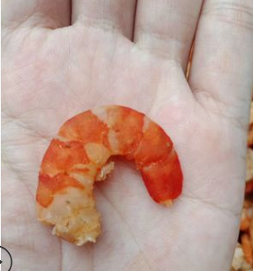 蚝生鲜深海虾米纯手工野生海虾柴火烤烘干虾米海米鲜甜可口图1