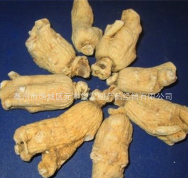 中药材进口加拿大西洋参个滋补 整条散装规格大粒头花旗参500克图1
