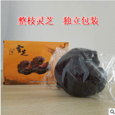 长白山灵芝 整枝灵芝礼盒装 会议营销礼品 入门礼品 搜单礼品图1