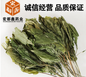 干人参叶精选东北吉林长白山新鲜人参完整叶片自然晒干无污染硫熏图1