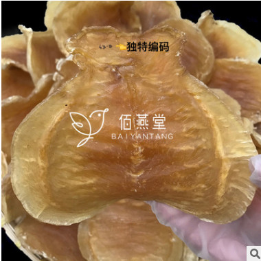 红鸡赤嘴鳘鱼鱼肚鳔花胶深海干货野生正品 孕妇滋补一件代发 海味图2
