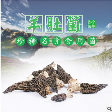 【黑标主厨】云南人工大羊肚菌 种植羊肚菌干货图3