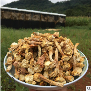 云南特产干姬松茸菇脚 产地直批姬松茸菇脚 高原特产巴西菇脚图2