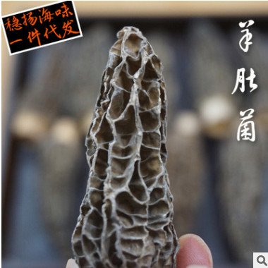 特级大羊肚菌干货 种植羊肚菌 剪脚无柄 食用菌 产地直供农产品