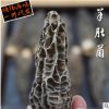 特级大羊肚菌干货 种植羊肚菌 剪脚无柄 食用菌 产地直供农产品