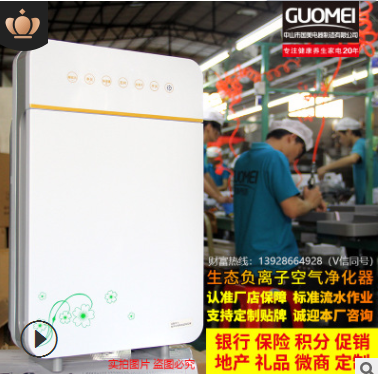 室内家用负离子除甲醛pm2.5空气净化器定制会销特价OEM小电器礼品图1