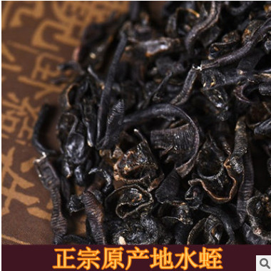 中药材批发 野生小水蛭 蚂蝗 纯清水干货 原产地直销 量大从优图3