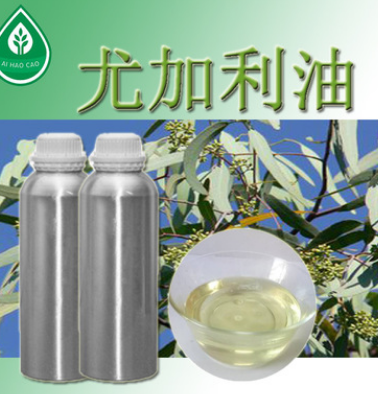 厂家直销尤加利油 天然植物按摩保养精油化妆品原料批发图1