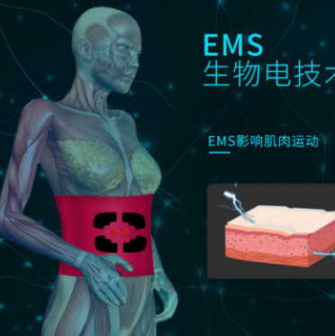 新款脉冲振动按摩热敷腰带 x5运动震动甩脂机抖抖机腰部图3
