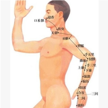 基因肾动力胶囊 非强根肾宝玛咖海狗牡蛎鹿鞭片 男性保健食品滋补图3