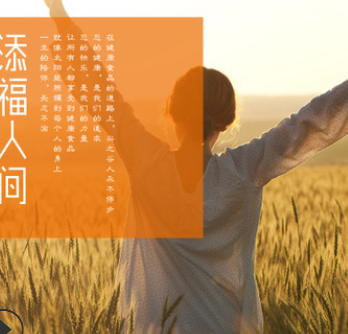 山楂红枣枸杞粉健胃消食五谷代餐粉滋肾养精可提供食品OEM代加工图3