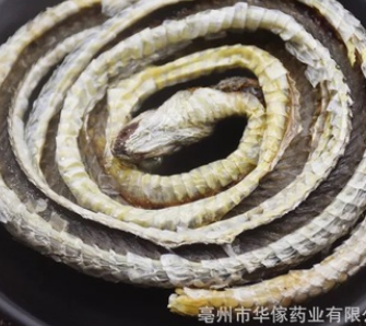 乌梢蛇 乌蛇、乌花蛇 中药材批发图2