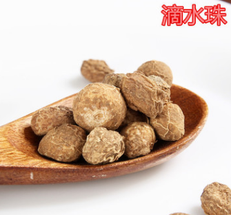无硫新货 滴水珠 中药材 一滴珠 一粒珠 独龙珠 蛇珠 易一面锣图1