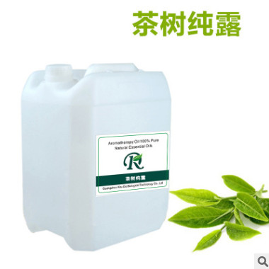 天然茶树纯露 平抚油肌平衡油脂收缩毛孔 纯露花水精油批发厂家图1