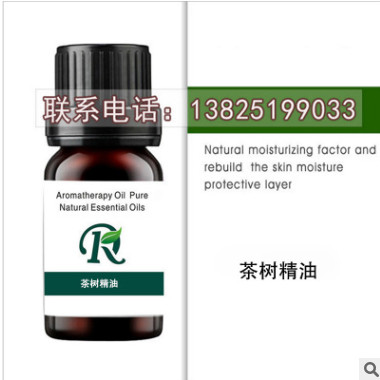 茶树单方精油10ML 原料厂家精油批发OEMODM代加