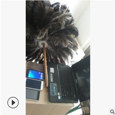 鸵鸟毛产品 供应商 求购 生意经汽车配件 生产线工业机器人毛刷图2