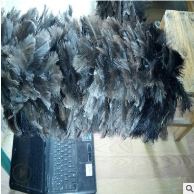 汽车涂装喷涂机器人擦汽系统代加工各种汽车鸵鸟毛鸵鸟毛擦净机图3