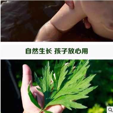 艾草艾叶蕲艾足浴包泡澡泡脚包艾绒粉男士女性50包/袋可oem图2