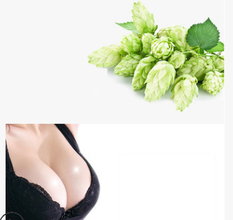 丰韵霜 乳房按摩乳腺疏通挺拔美容院专用美乳霜 oem加工厂家直销图2