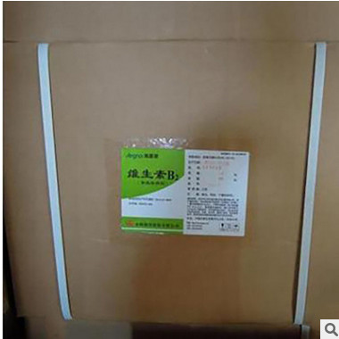 现货供应维生素B2 湖北广济b2 海嘉诺维生素B2 量大优惠图2