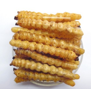 森林之宝 野生斗米虫 鸟不踏刺虫 黄牛刺虫 开胃消食 高级动物蛋图3