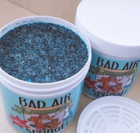 美国Bad Air Sponge甲醛空气净化剂400g图1