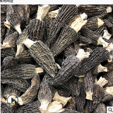 羊肚菌干货 云南特产剪柄新鲜羊肚菌 产地直销 一件代发 诚招代理图3