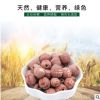 厂家批发五谷香杂粮低温烘培熟红粒莲子(提前定制) 可OEM、可散装