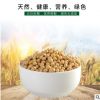 厂家批发五谷香杂粮低温烘培熟黄豆(提前定制) 可OEM、可散装