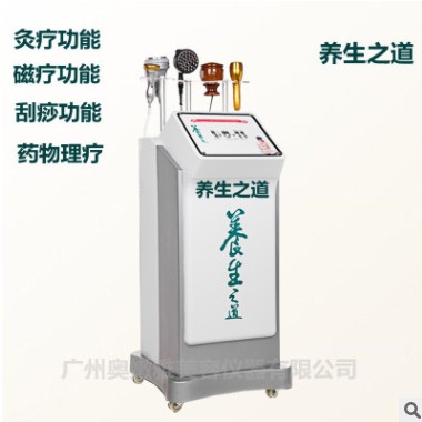 厂家直销养生之道 中医养生健康理疗 经络疏通仪针灸拔罐美容仪器图2