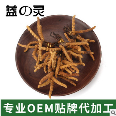 蓝之灵 冬虫夏草(中)10g 西藏那曲正宗冬虫夏草 虫草（30-40条）图1