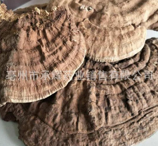 批发 中药材 赤灵芝 仙草干 平盖灵芝 常年大货图3