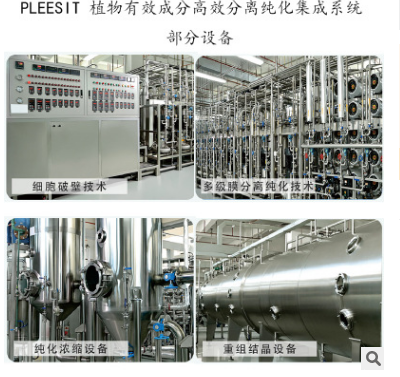 菊花蓝莓复合精华植物提取物护眼养肝100%水溶固体饮料养茶生产图3