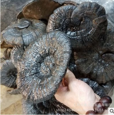 批发灵芝 整枝黑灵芝 煲汤养生食材 一件代发图2