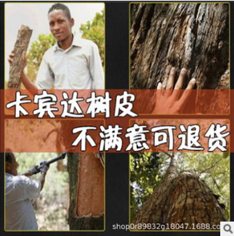 欢乐颂卡宾达树皮批发植物滋补品散装可打粉产地直供树皮批发图1
