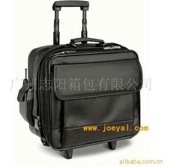 广州专业加工厂 生产厂家直销拉杆包包图3