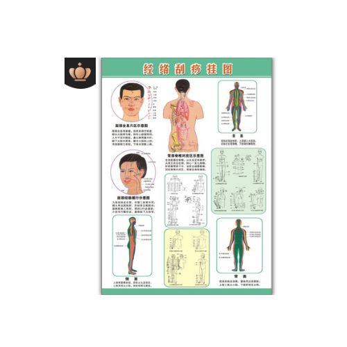 批发刮痧人体经络图穴位图艾灸挂图刮痧穴位图厂家直销可定制