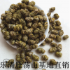 浙江乐清明月铁皮石斛干品基地批发价格100g/灌 铁皮枫斗滋补品