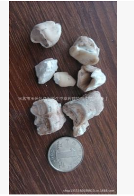 龙齿 亿万中药 批发中药材正品龙齿粒图2