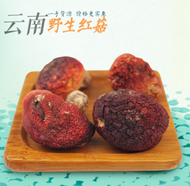 【30年实体】云南特产野生红菇食用菌干货现货批发正宗原产地红菇