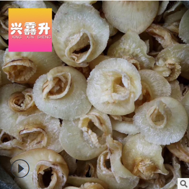 澳洲金勾鱼翅 15头 18头翅针满满 海味干货批发 产地直达图2