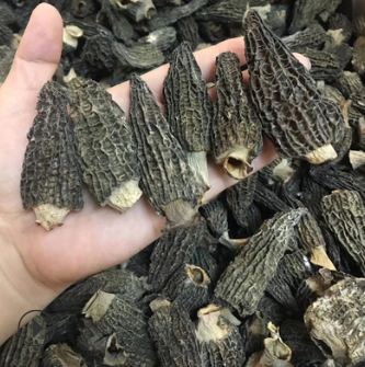 羊肚菌特惠价 产地直销 野生新货羊肚菌干货250g 健康食材 食用菌