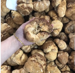 现货供应特产干制袋装食用农产品菌菇 猴头菇干货图2